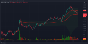 Polyplex share price